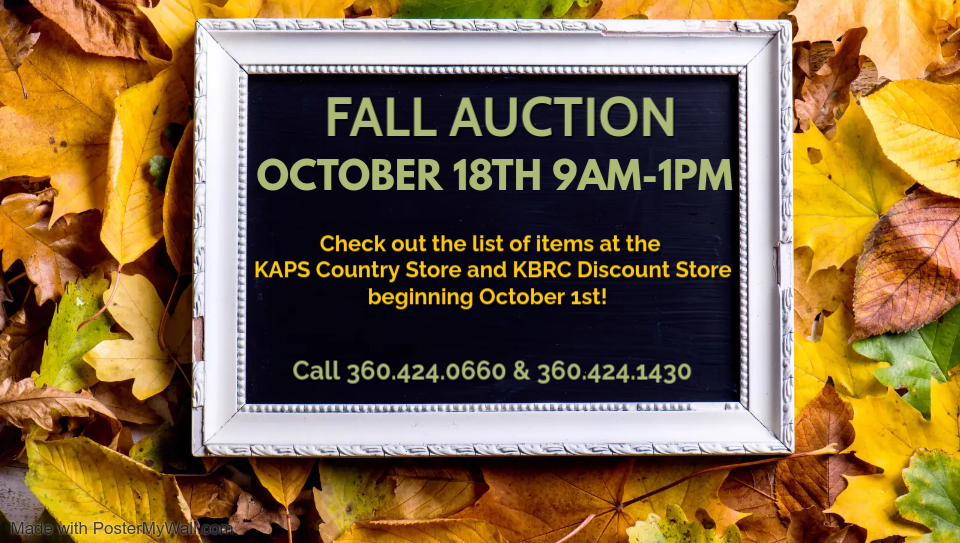 FALL AUCTION 2025